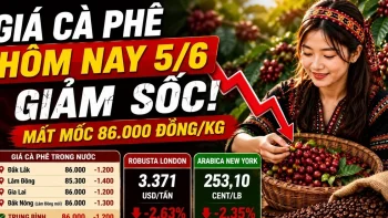 أسعار القهوة اليوم، 5 يونيو: شهدت كل من قهوة روبوستا وقهوة أرابيكا انخفاضات كبيرة في الأسعار.