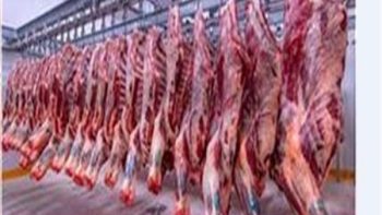 أسعار اللحوم اليوم الأربعاء 24 يونيو في الأسواق