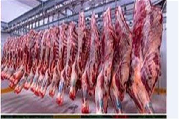أسعار اللحوم اليوم الأربعاء 24 يونيو في الأسواق