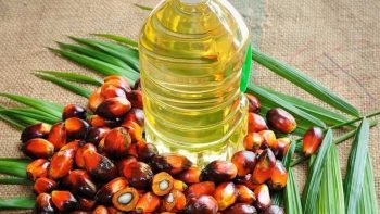 أسعار زيت النخيل الماليزي تغلق عند أعلى مستوى في 3 أسابيع