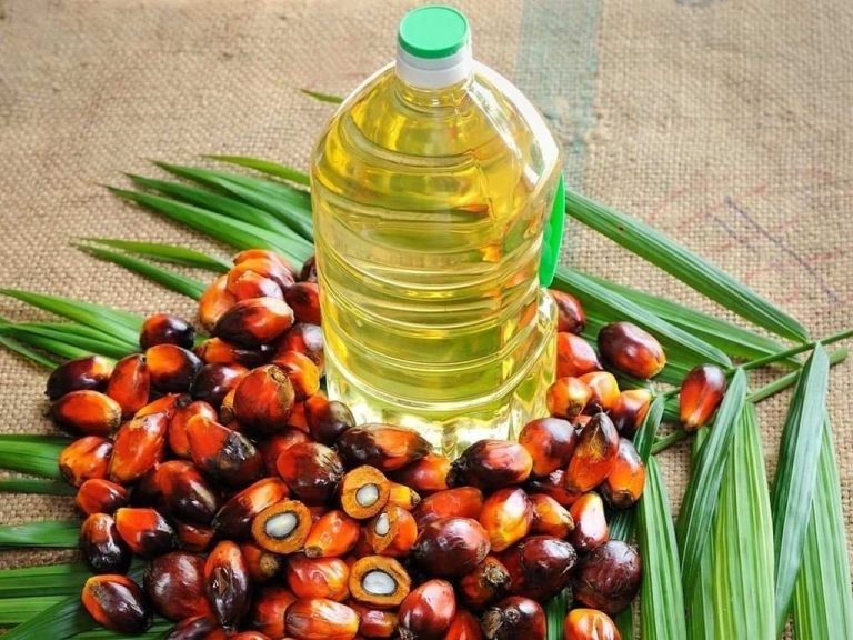 أسعار زيت النخيل الماليزي تغلق عند أعلى مستوى في 3 أسابيع