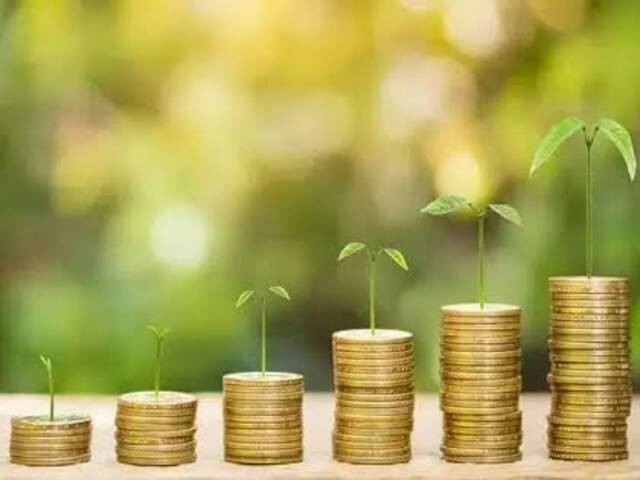 أسعار وثائق صناديق الاستثمار النقدية والدخل الثابت 31-5-2026
