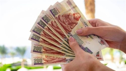 أفضل شهادة ادخار في مصر وطريقة اختيار العائد وحساب الأرباح الشهرية بدقة