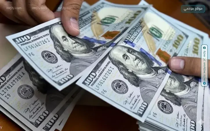 الدولار يستقر في منتصف تعاملات اليوم بالبنوك المصرية