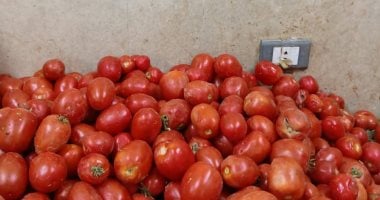 الطماطم بـ20 جنيها.. أسعار الخضراوات والفاكهة بالوادي الجديد اليوم الجمعة