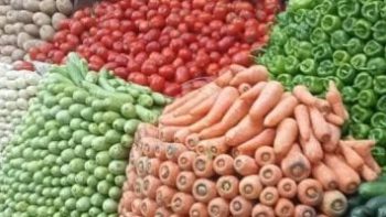 الطماطم لـ20 جنيه.. أسعار الخضراوات فى الأقصر اليوم الثلاثاء