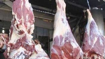 بعد انتهاء عيد الأضحى.. أسعار اللحوم اليوم الإثنين 1 يونيو في الأسواق والمنافذ الحكومية