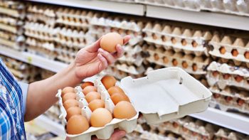تخفيض سعر البيض بالمنافذ التموينية لـ85 جنيها للطبق