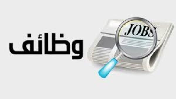 تفاصيل وظائف وزارة النقل 2026 ومواعيد التقديم والتخصصات المطلوبة عبر بوابة الوظائف الحكومية