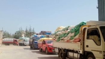 توريد 649 ألف و307 طن من محصول الذهب الأصفر فى الشرقية