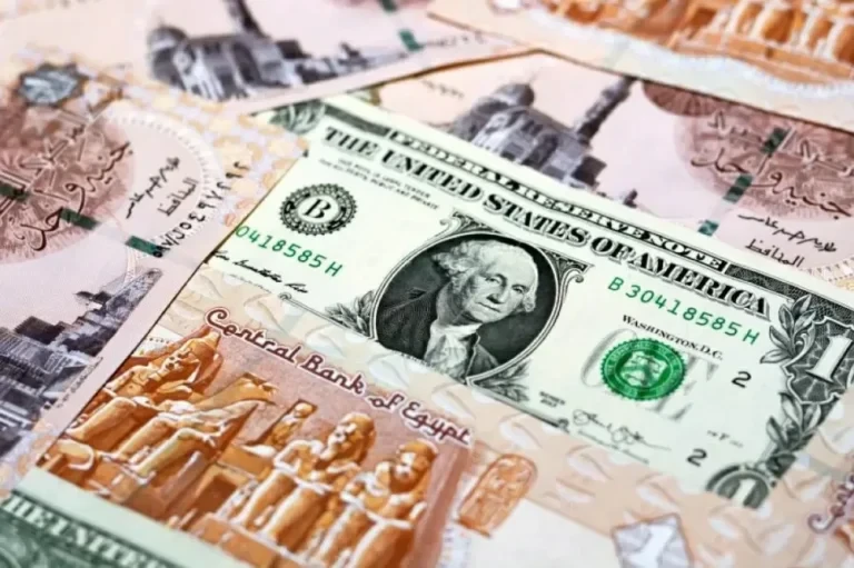 سعر الدولار اليوم في مصر الأربعاء 24 يونيو 2026