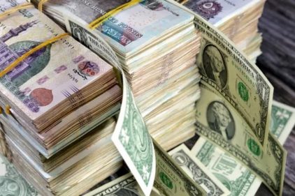 سعر الدولار في مصر يعود للخسارة بعد ارتفاع مؤقت