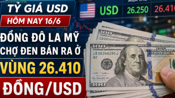 سعر صرف الدولار الأمريكي اليوم (16 يونيو): يتم بيع الدولار الأمريكي في السوق السوداء بسعر حوالي 26410 دونغ فيتنامي/دولار أمريكي.