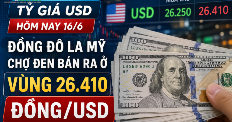 سعر صرف الدولار الأمريكي اليوم (16 يونيو): يتم بيع الدولار الأمريكي في السوق السوداء بسعر حوالي 26410 دونغ فيتنامي/دولار أمريكي.