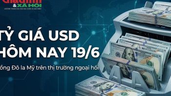 سعر صرف الدولار الأمريكي اليوم، 19 يونيو: ظل الدولار الأمريكي في السوق السوداء مستقراً لعدة أيام متتالية.