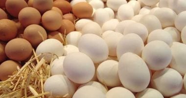 سعر طبق البيض بالقليوبية اليوم الثلاثاء 30 - 6 - 2026.. الأبيض بـ90 جنيها