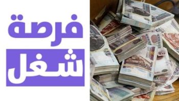 شروط التقديم على وظائف خالية برواتب تصل إلى 30 ألف جنيه في الشركات الخاصة