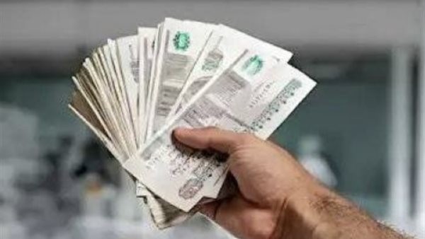 شهادات البنك الأهلي 2026 تمنح عوائد متنوعة تناسب احتياجات المدخرين المختلفة