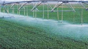 طلب إحاطة بالبرلمان بشأن منع صرف أسمدة المحاصيل البستانية وارتفاع أسعارها بالسوق السوداء
