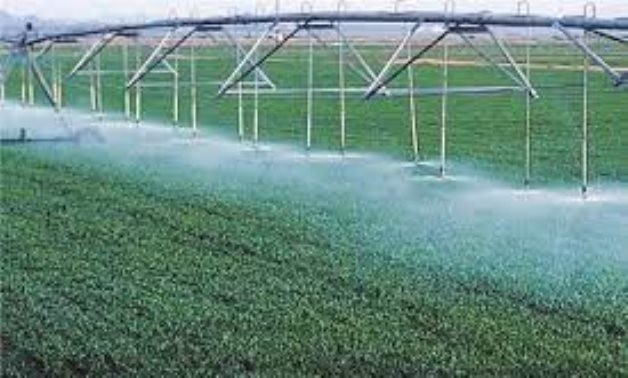 طلب إحاطة بالبرلمان بشأن منع صرف أسمدة المحاصيل البستانية وارتفاع أسعارها بالسوق السوداء