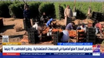 متحدث الزراعة: انخفاض كبير في أسعار الطماطم والبيض