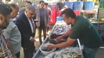 محافظ الدقهلية يتفقد المعرض الدائم للسلع الغذائية بحى شرق المنصورة