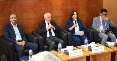 ممثل البنك الدولي: الاقتصاد المصري دخل الأزمة من موقع أقوى بسعر صرف مرن