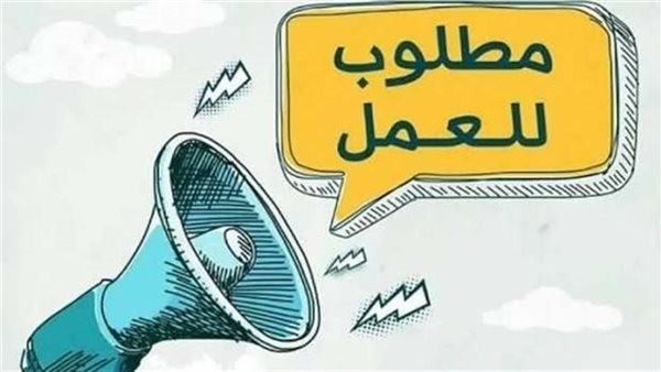 وزارة العمل تعلن عن وظائف شاغرة للسائقين برواتب تصل إلى 15 ألف جنيه