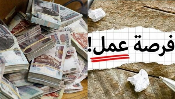 وزارة العمل تعلن وظائف شاغرة بالسويس برواتب تصل إلى 20 ألف جنيه