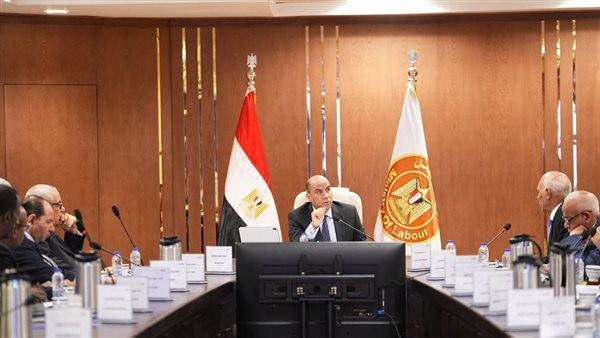وزير العمل يعلن صرف 2.5 مليار جنيه لنحو 441 ألف عامل عبر صندوق إعانات الطوارئ