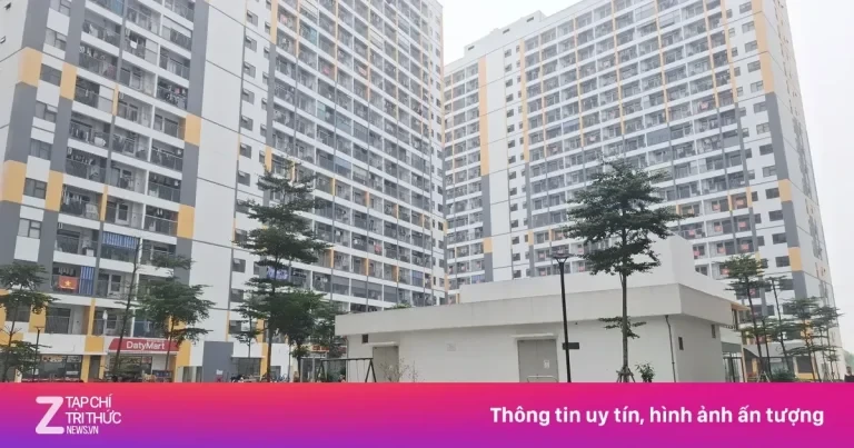 يتم عرض 2000 وحدة سكنية اجتماعية للبيع في باك نينه، بسعر يزيد عن 12 مليون دونغ فيتنامي للمتر المربع.