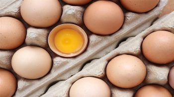 تراجع سعر كرتونة البيض في بورصة الدواجن وللمستهلك اليوم الجمعة 10-7-2026