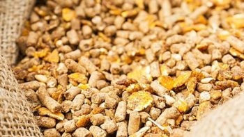 أسعار الأعلاف الداجنة والحيوانية والمكونات اليوم الجمعة 3-7-2027 -جريدة المال