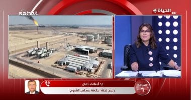 أسامة كمال: استمرار التصعيد قد يدفع أسعار النفط إلى 100 دولار للبرميل