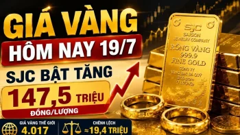 أسعار الذهب اليوم، 19 يوليو: ارتفع سعر الذهب في بورصة سان خوسيه بنحو مليون دونغ فيتنامي، لكنه لا يزال منخفضاً هذا الأسبوع.
