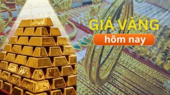 أسعار الذهب صباح يوم 11 يوليو: ارتفعت أسعار سبائك الذهب بشكل حاد مقارنة ببداية الشهر.