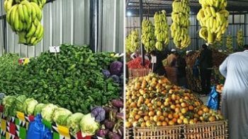 أسعار الفاكهة بأسواق مطروح اليوم الاثنين 13-7-2026.. العنب بـ50 جنيها
