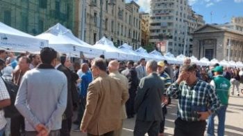 إقبال جماهيري على سوق اليوم الواحد بالإسكندرية.. المحافظة تواصل النجاح فى تنظيمه أسبوعيا بـ25 باكية متنوعة.. المحافظ: يدعم المنتج المحلى والزراعة المستدامة.. ويشدد على إقامة السوق على مدار أيام الأسبوع.. صور