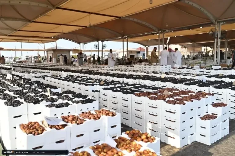ارتفاع المبيعات يعزز الطلب على التمور في المدينة المنورة