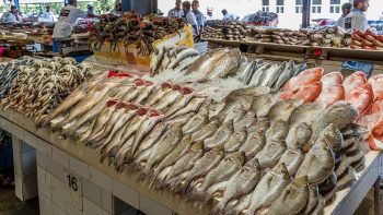 ارتفاع في سعر البلطي والجمبري.. قائمة بأسعار الأسماك اليوم بالأسواق