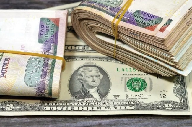 الدولار في مصر يتجاوز 50 جنيهاً مجدداً