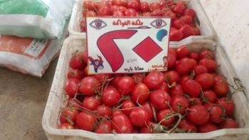 الطماطم بـ 20 جنيها.. أسعار الخضراوات والفاكهة بالوادي الجديد اليوم الإثنين
