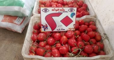 الطماطم بـ 20 جنيها.. أسعار الخضراوات والفاكهة بالوادي الجديد اليوم الإثنين