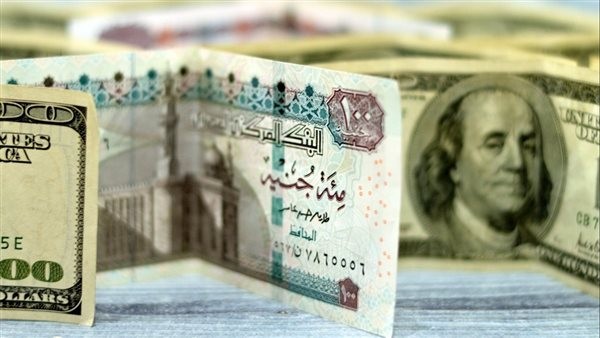 بعد الارتفاع الأخير.. استقرار سعر الدولار في البنوك المصرية اليوم