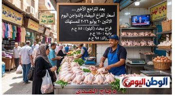 بعد التراجع الأخير.. أسعار الفراخ البيضاء والدواجن اليوم الاثنين 20 يوليو 2026 للمستهلك