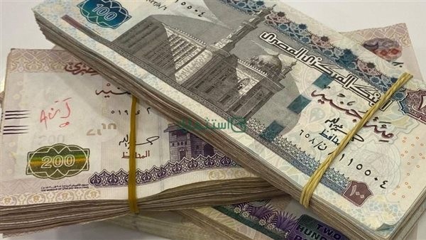 تفاصيل صرف مرتبات يوليو بالزيادة الجديدة وجدول الحد الأدنى للأجور