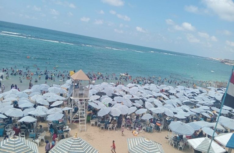 حملات مكثفة على شواطئ الإسكندرية.. مصادرة شيش ورد فروق أسعار للرواد