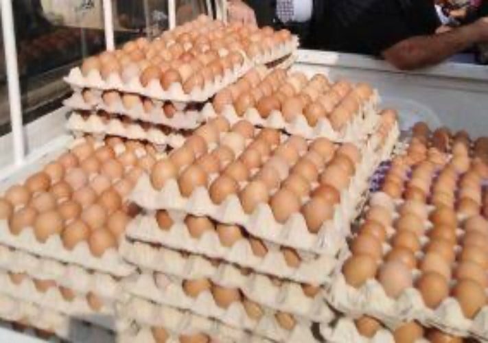 خصومات تصل إلى 18% على أطباق البيض بالسلاسل التجارية.. تعرف على الأسعار -جريدة المال
