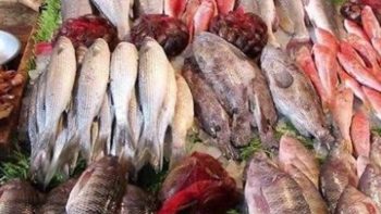 خصومات تصل إلى 31% على الأسماك والمأكولات البحرية.. تعرف على الأسعار -جريدة المال