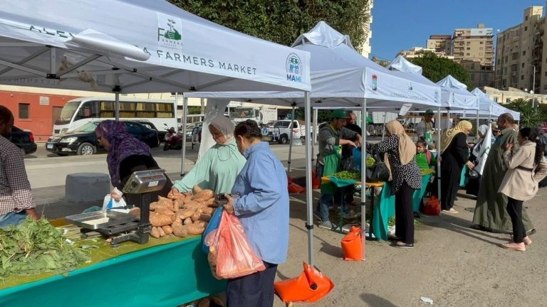 محافظ الإسكندرية: انتظام أسواق اليوم الواحد في 9 أحياء لتوفير السلع بأسعار مناسبة
